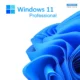 Windows 11 pro / Professional лицензия Купить в Тбилиси